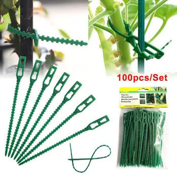 100 ADET Plastik Bitki kablo Bağları Yeniden Kullanılabilir Bitki Desteği Çalılar Raptiye Ağacı Kilitleme Naylon Ayarlanabilir Plastik kablo bağları Araçları
