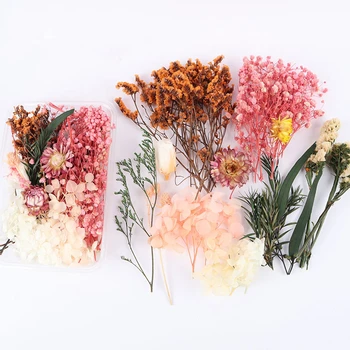 Doğal Kurutulmuş Çiçekler Kutusu DIY Fotoğraf Çerçevesi Kuru Çiçek Malzeme Çantası Epoksi Reçine çiçek dekorasyonu Noel Dekorasyon Aksesuarları