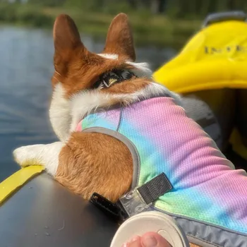 Yaz Köpek soğutma yeleği Soğutma Ceket Açık Güneş Koruyucu Ceket Elbise Ferahlatıcı Serin Giysiler Köpekler İçin Pet Giyim # 0